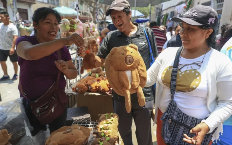 Los capibaras, con su «santa serenidad», están causando furor en los mercados de Lima (VIDEOS)