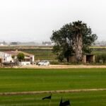 Donde el Ebro hace olvidar el mar