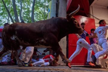 Quinto encierro de San Fermín 2025, en imágenes