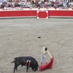 Solo faltó el toro