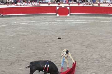 Solo faltó el toro