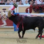 El colombiano Juan de Castilla sufre dos muy graves cornadas en Bayona