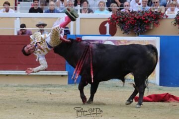 El colombiano Juan de Castilla sufre dos muy graves cornadas en Bayona