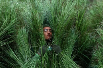 Las «personas planta» de la actuación de Bad Bunny en la Super Bowl: un trabajo valorado en más de 1.000 euros