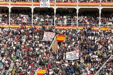 División de opiniones sobre el compromiso o la indolencia de las peñas taurinas