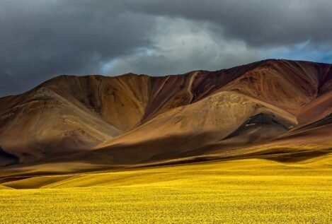 Procesionar en tiempos de catolicismo pop