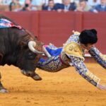 Morante de la Puebla, cogido por el cuarto toro de la corrida en La Maestranza