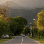 Mandarina, folclore y tradición: todo lo que tenés que saber de la Fiesta Nacional que se vive en el sur de Catamarca