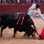 Un gran toro de Fuente Ymbro, la baraka y la factura de Fernando Adrián en Las Ventas