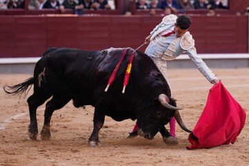 Un gran toro de Fuente Ymbro, la baraka y la factura de Fernando Adrián en Las Ventas