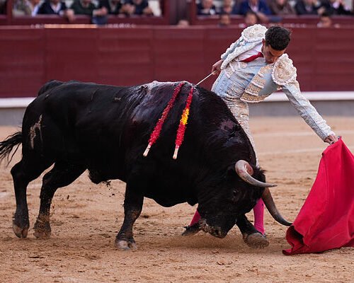 Un gran toro de Fuente Ymbro, la baraka y la factura de Fernando Adrián en Las Ventas