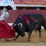 Damián Castaño y la emoción de la verdad ante un toro de Miura