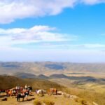 El paraíso secreto de Argentina para amantes de la fotografía y la fauna salvaje