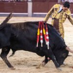El Mene se reivindica por el camino del toreo