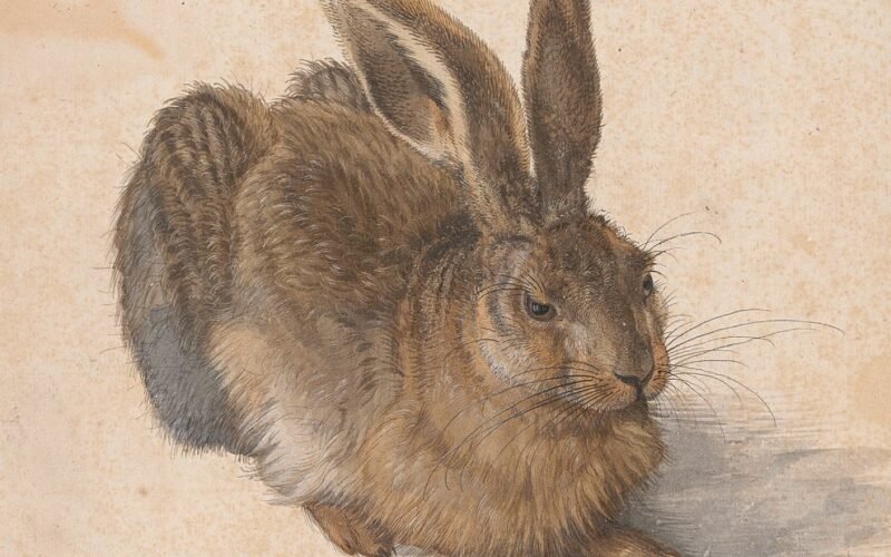 El museo Albertina celebra su 250 aniversario: un “pequeño milagro” de la conservación artística que surgió a partir de una historia de amor