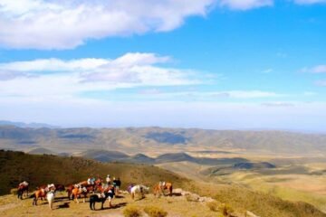 Este es el paraíso escondido de Argentina para fotógrafos y amantes de los animales