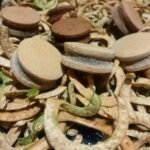 Turismo Capital invita a hacer un viaje por los sabores nativos