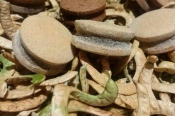Turismo Capital invita a hacer un viaje por los sabores nativos