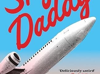 ‘Sky Daddy’, la novela más extraña sobre una mujer que siente deseo erótico por los aviones