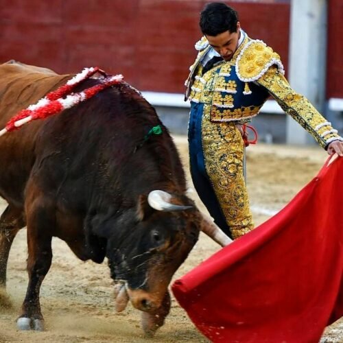 Mario Navas se rompe la clavícula en Toro a un mes de confirmar la alternativa en Madrid