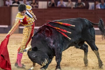 La terna pone voluntad ante una corrida de variadas complicaciones en Las Ventas