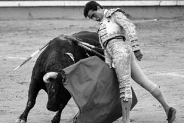 Fernando Cámara: «Juanito impulsó mi carrera y me hice torero por el Loco Galán»