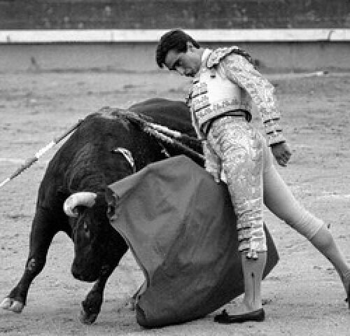 Fernando Cámara: «Juanito impulsó mi carrera y me hice torero por el Loco Galán»