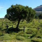 Retoman la petición de BIC para el cementerio de ‘El bueno, el feo y el malo’ en Burgos