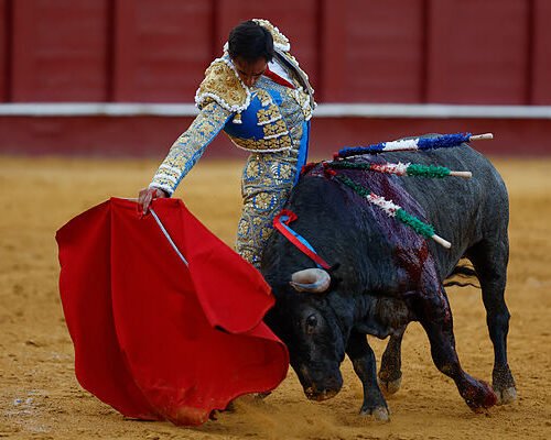 Fortes gana por quinta vez el capote de paseo de Málaga a la mejor faena de la feria