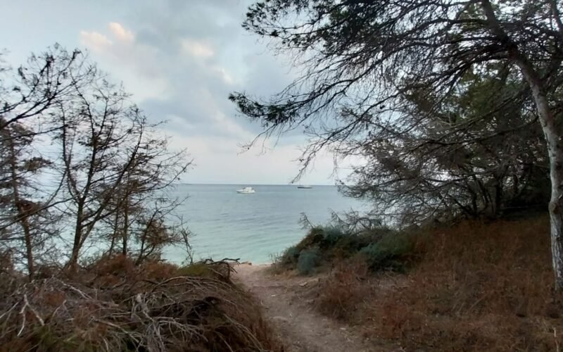 Lestrigones, feacios y sirenas de Formentera