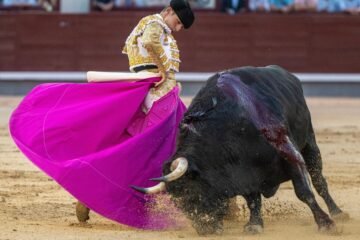 “¡Viva España…, pero no la casta!”