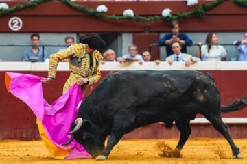 Un toro y un caballo de rejoneo destacan en la segunda de San Sebastián