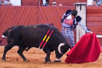 Una nueva lección de magisterio, pureza y arte de Morante de la Puebla en Aranjuez