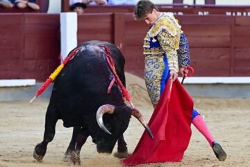 Destaca, aun sin trofeos, el méxicano Andrés García en la Monumental de las Ventas