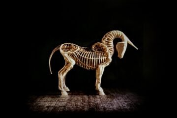 Adiós a las historias de superación: la discapacidad y los cuerpos no normativos entran a museos, teatros y cines por la puerta grande