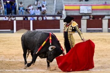 Vergonzoso, manso y deslucido desafío ganadero en Las Ventas