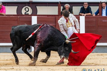 La madurez de Nacho Torrejón y la garra de Sergio Rollón sobresalen en Las Ventas
